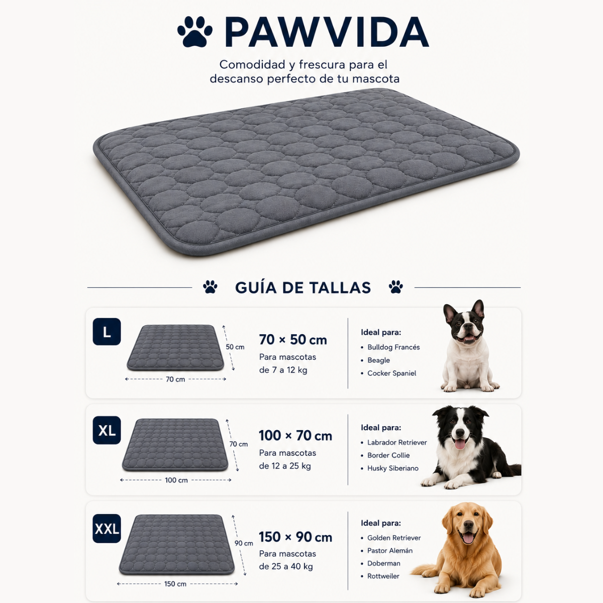 ADIÓS A LAS MANCHAS Y LA HUMEDAD