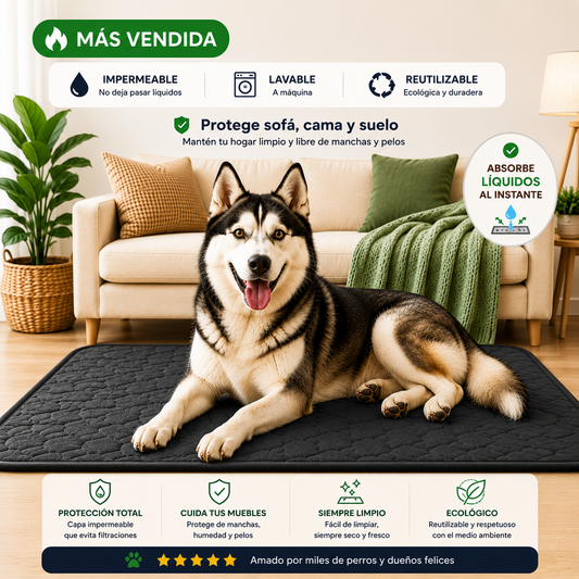 ADIÓS A LAS MANCHAS Y LA HUMEDAD